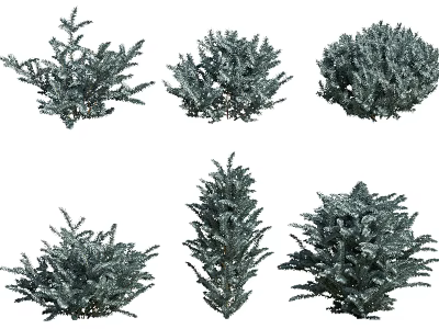 Different Types of Green Shrubs for Garden Landscaping and Outdoor Decoration 3d model
