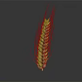 Ripe Golden Wheat Ear As Agricultural Crop With Natural Grains And Texture