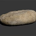 Ammonite Fossil With Spiral Shape And Textured Surface On Dark Background