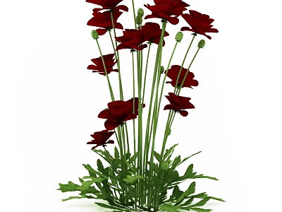 Lush Garden Shrub With Red Flowers Green Leaves And Long Stems 3d model