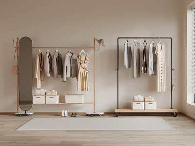 Modern Clothes Rack With Hanging Clothes Mirror Storage Boxes And Wooden Floor Interior 3d model
