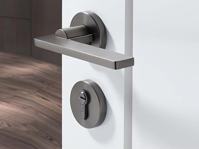 Modern Stainless Steel Door Handle With Keyhole On White Door In Home Interior 3d model