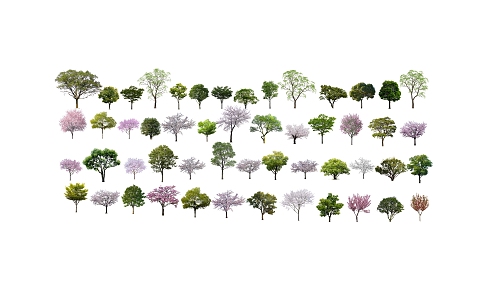 Modern Tree Cherry Blossom Arbor Landscape Tree Street Tree Ornamental Tree Big Tree Green Tree Color Leaf Tree Flower Tree 3d model