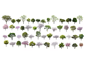 Modern Tree Cherry Blossom Arbor Landscape Tree Street Tree Ornamental Tree Big Tree Green Tree Color Leaf Tree Flower Tree 3d model
