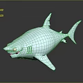 White Shark 3D Model with Open Mouth Sharp Teeth on Dark Background with Reflective Surface 3d model