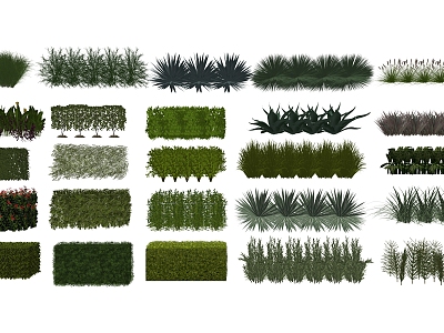 Modern shrubs, hedgerows, shrubbery model