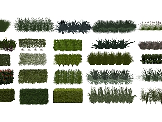 Modern shrubs, hedgerows, shrubbery 3d model