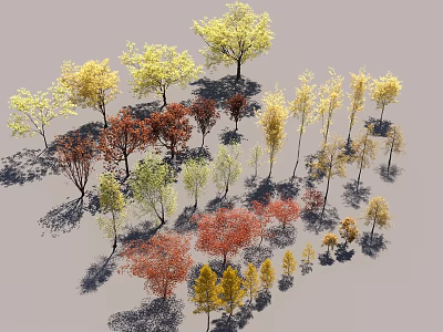 Various Colorful Trees with Diverse Foliage Shades and Sizes in Landscaping Collection 3d model