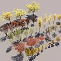 Various Colorful Trees with Diverse Foliage Shades and Sizes in Landscaping Collection
