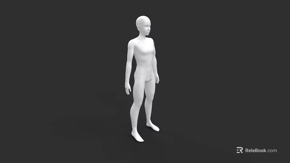 Male Human Figure 3D Model in White Standing Pose on Black Background 3d model 