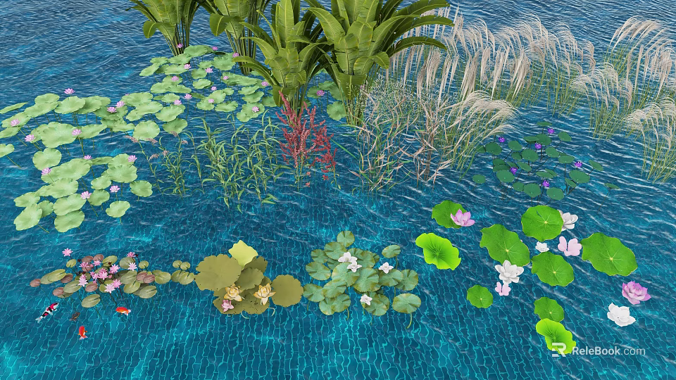 Aquatic Plants in Water with Lily Pads Water Lilies Reeds Aquatic Grasses and Small Fish 3d model 