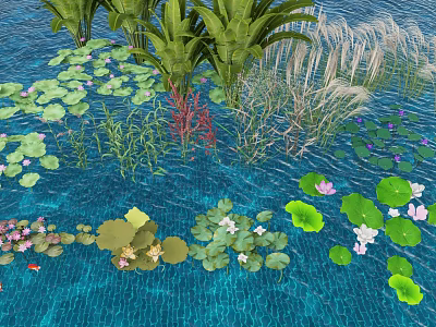 Aquatic Plants in Water with Lily Pads Water Lilies Reeds Aquatic Grasses and Small Fish 3d model