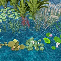 Aquatic Plants in Water with Lily Pads Water Lilies Reeds Aquatic Grasses and Small Fish