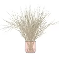 Clear Glass Vase Holding Dried Decorative Twigs On White Minimalist Background