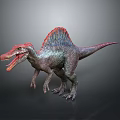 Realistic Spinosaurus Dinosaur Model With Red Pink Sail Standing Open Mouth Dark Background