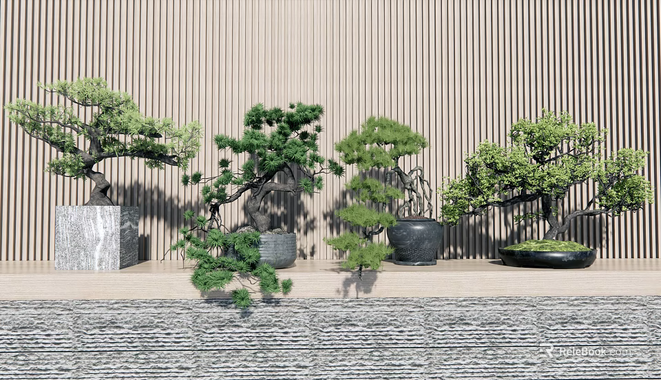 Various Decorative Bonsai Trees In Different Styles Against Striped Wall With Textured Floor 3d model 