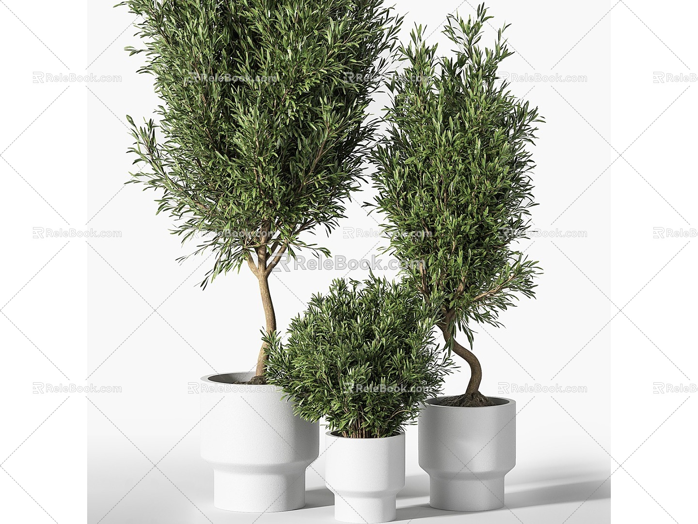 potted plants bonsai decorative plants green plants indoor plants model