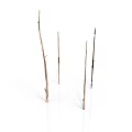 Primitive Handmade Wooden Weapons With Sharp Tips And Traditional Design