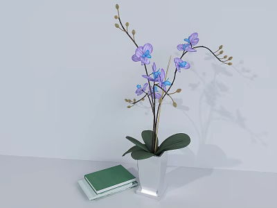 Potted Orchid Plant in White Vase with Green Books on Light Background 3d model