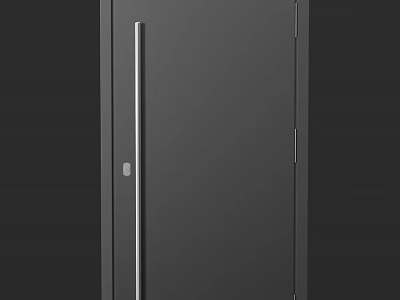 Modern Minimalist Dark Gray Metal Hinged Door with Sleek Long Handle for Interior Home 3d model