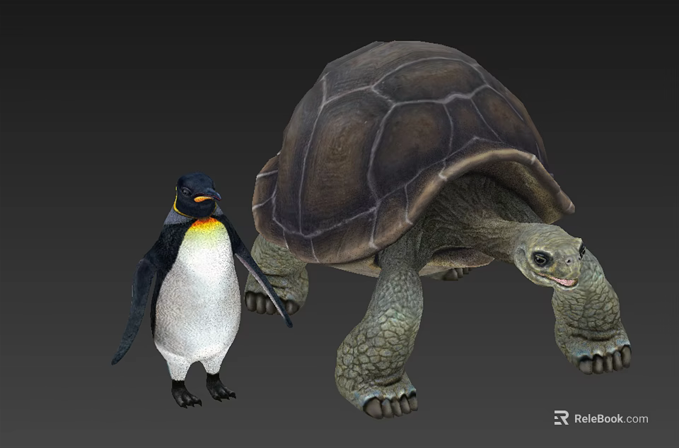 Realistic 3D Reptile Turtle Model Standing with Penguin on Gray Background 3d model 