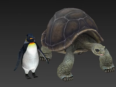 Realistic 3D Reptile Turtle Model Standing with Penguin on Gray Background 3d model