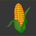 Vibrant Fresh Corn With Bright Yellow Kernels And Green Leafy Husks