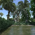 Palm Trees Lush Greenery And Flower Arch Over Water Surface In Garden