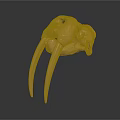 Medical Device Anatomical Skull Model with Detailed Bone Structure for Educational Training Use