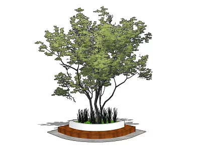 Circular Tree Planter With Wooden Edge And Leafy Trees Surrounding Greenery 3d model
