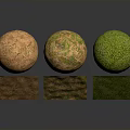 Three Textured Spheres and Cubes with Green and Brown Mossy Surfaces in 3D Render
