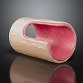 Tubular Organ Structure Showcasing Hair Covered Exterior And Pink Interior Tissue