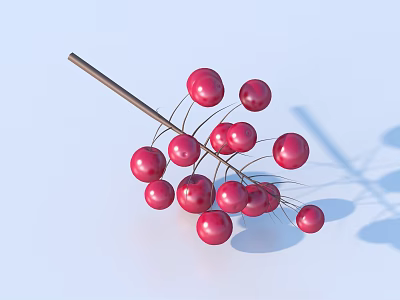 Decorative Red Berries Branch Home Decor Accessory With Natural Design Look 3d model