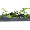 Black Rectangular Bonsai Planter With Various Green Plants And Black Stones