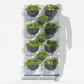 Bonsai Potted Plants on Metal Grid with Black Round Pots White Wall and Human Silhouette