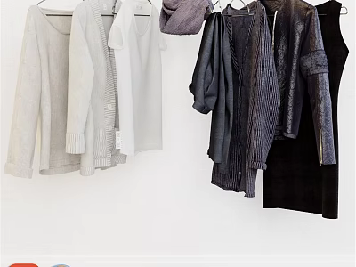 Hanging Clothes Collection with White Gray and Dark Sweaters Tops and Coats 3d model
