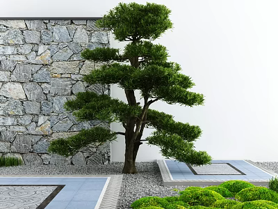 Garden Courtyard Design With Stone Wall Pine Tree Path And Green Shrubs 3d model