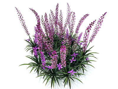 Vibrant Purple Flowers with Slender Stems and Green Leaves in a Lush Plant Cluster 3d model
