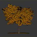 Autumn Tree with Vibrant Orange Leaves and Fallen Leaves on Green Grassy Ground