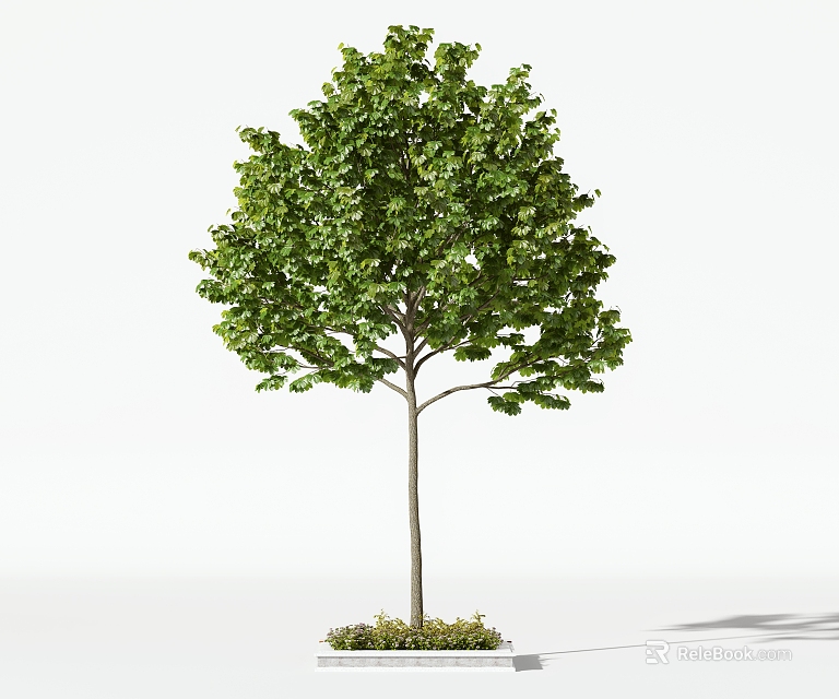 Healthy Green Tree In Well Designed Tree Pit With Lush Foliage 3d model 