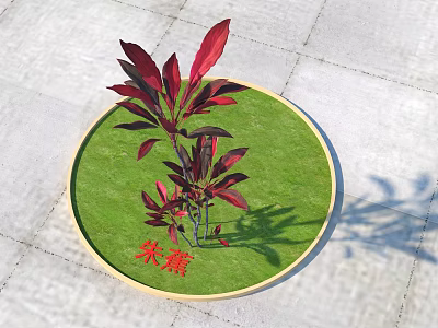 Ornamental Tree with Red Purple Leaves Growing on Circular Green Lawn 3d model