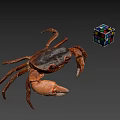 Whole Fresh Seafood Crab With Colorful Rubik's Cube On Gray Surface