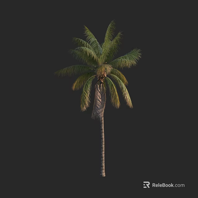 Tall Palm Tree With Green Fronds And Brown Trunk Against Dark Background 3d model 
