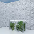 Room with Intricate Patterned Walls and Transparent Cube Container Holding Green Plants