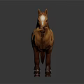 Brown Standing Horse With Brown Mane Tail And White Facial Mark On Dark Background