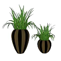 Bonsai Potted Plants With Two Sizes Striped Brown Black Pots And Green Grass Like Leaves