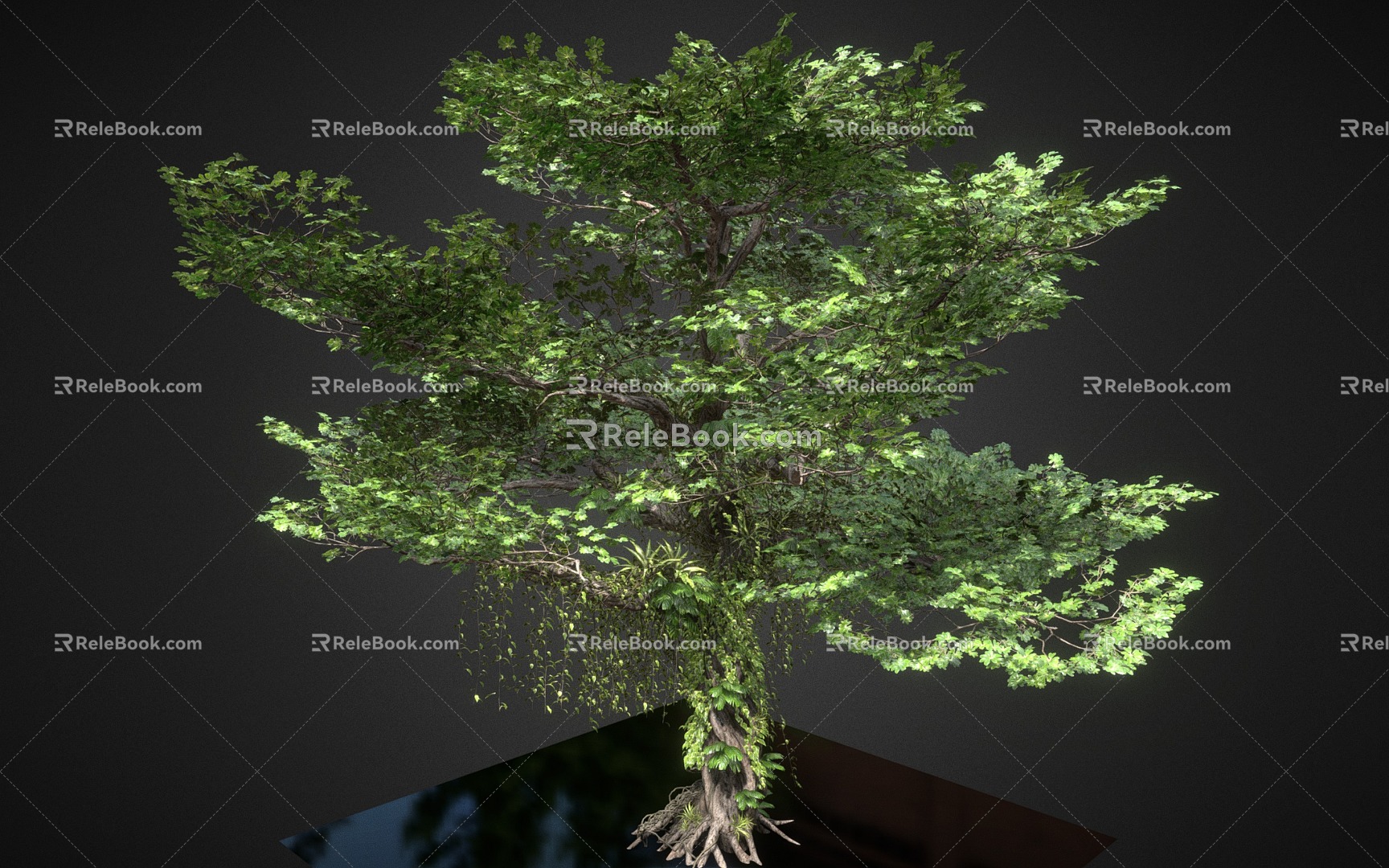 banyan tree green plant trees forest trunk 3d model