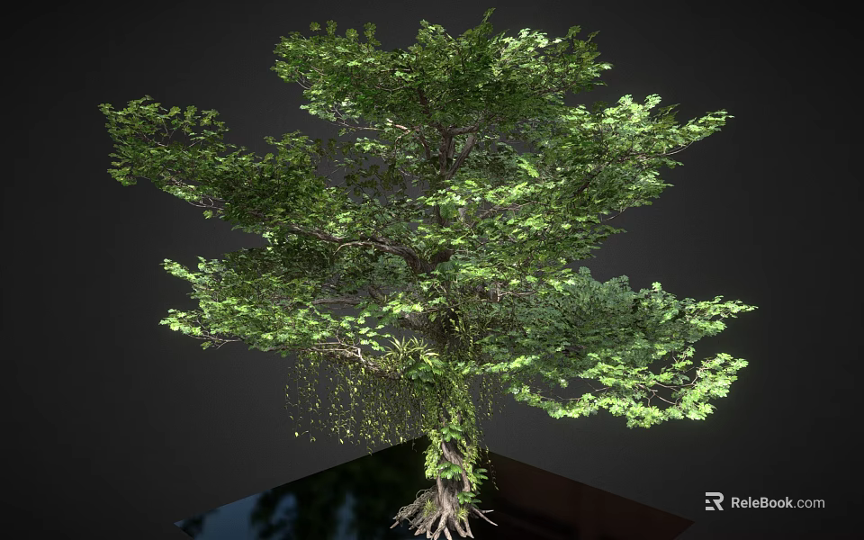 Lush Tree With Green Foliage Entangled Vines Exposed Roots On Reflective Base Against Dark Background 3d model 
