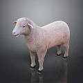Realistic Light Pink Standing Sheep Sculpture On Dark Background With Reflection 3d model