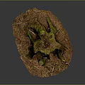 Tree Stump with Green Moss Surrounded by Dirt and Twigs Detailed Natural Forest Floor